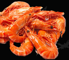 Cooked Whole Prawn