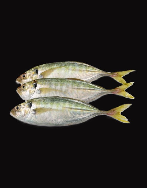 SELAR FISH 6/8 (PER KG)