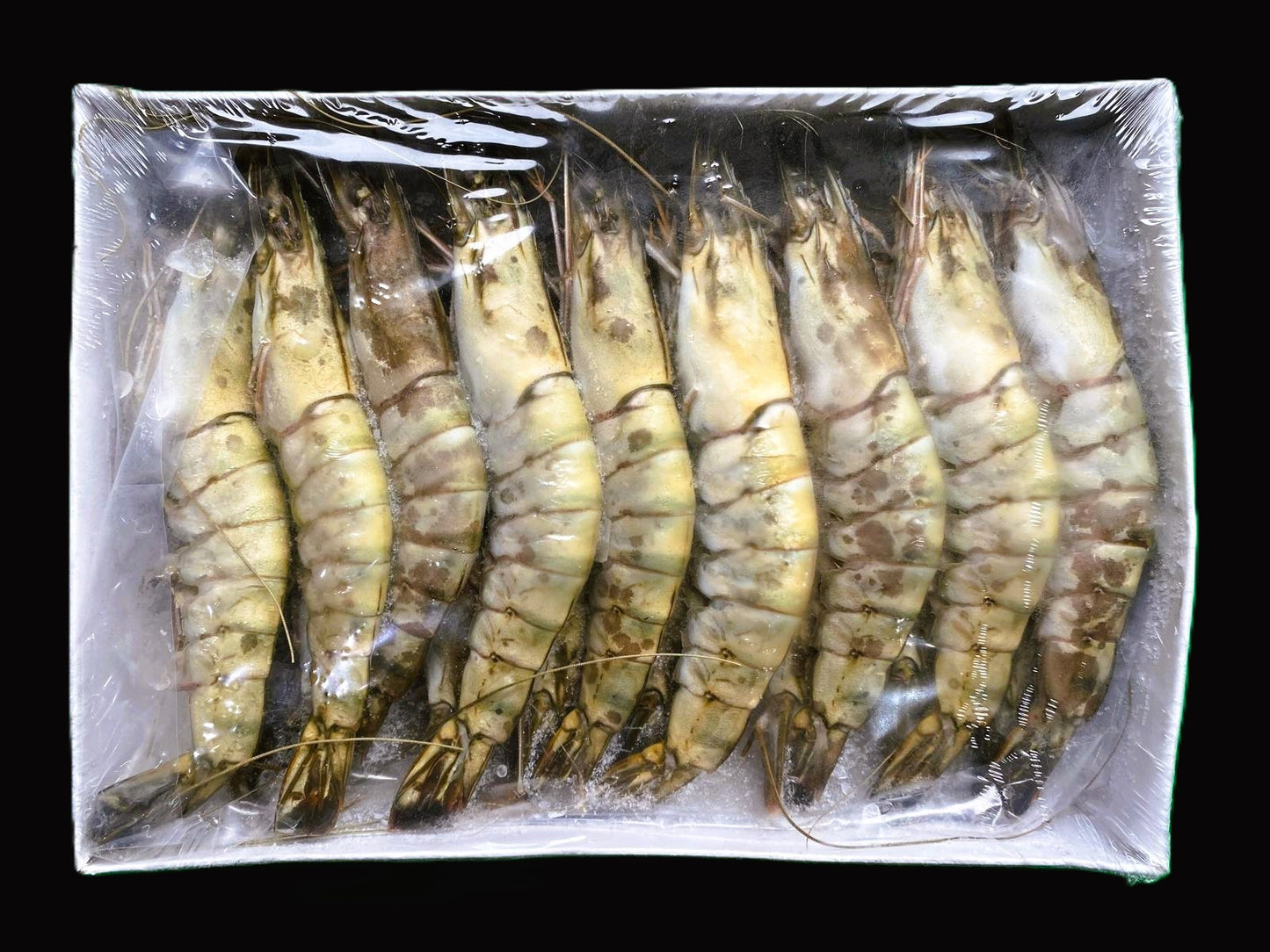 BLACK TIGER PRAWN WHOLE 16-20 (PER KG)